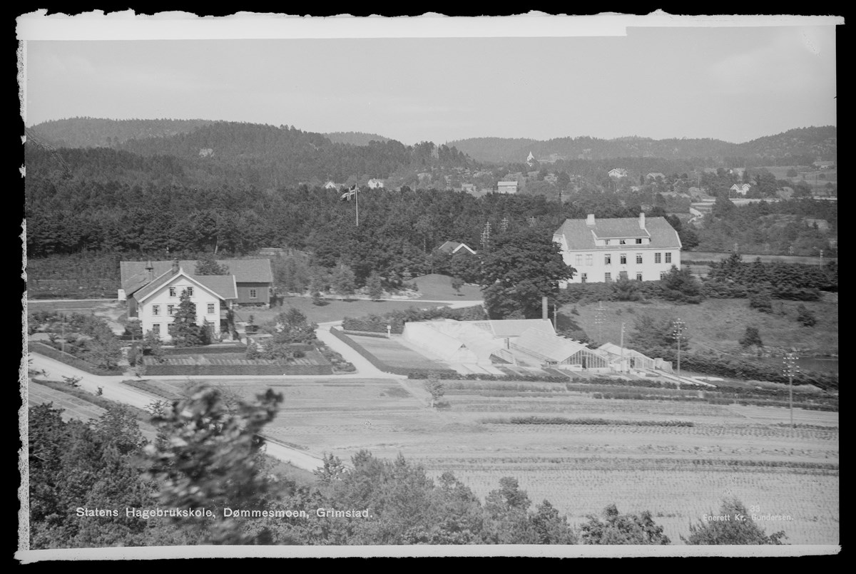 Gammelt postkort med oversiktsbilde av Statens Hagebruksskole på Dømmesmoen i Grimstad.