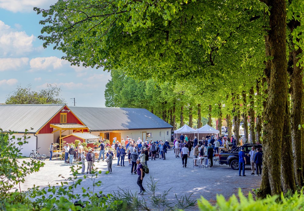 Oversiktsbilde av Norsk Hagbruksmuseum og området rett utenfor museet.