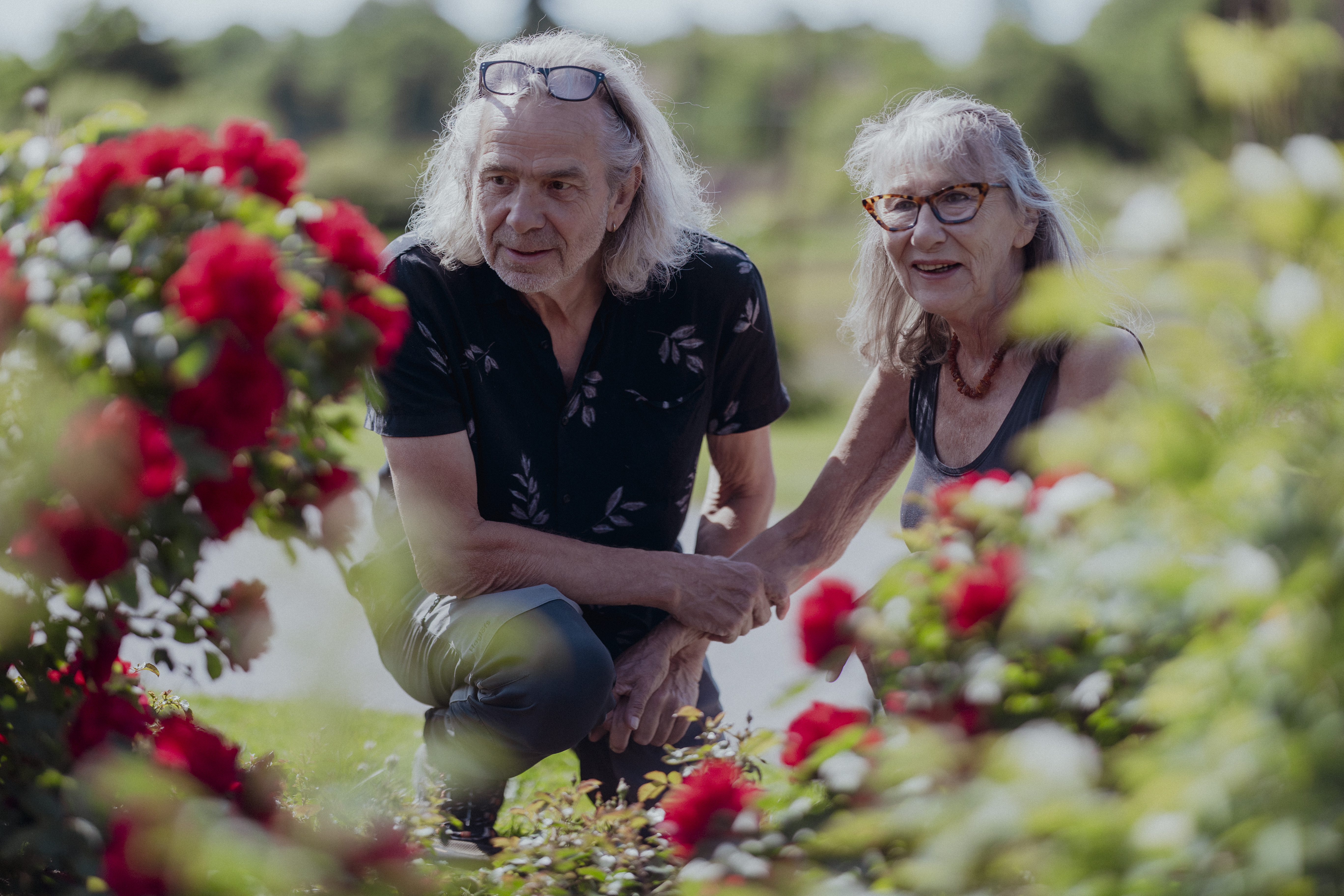 En mann og en kvinne bøyer seg ned ved en rosebusk og ser på de vakre, rosa rosene.